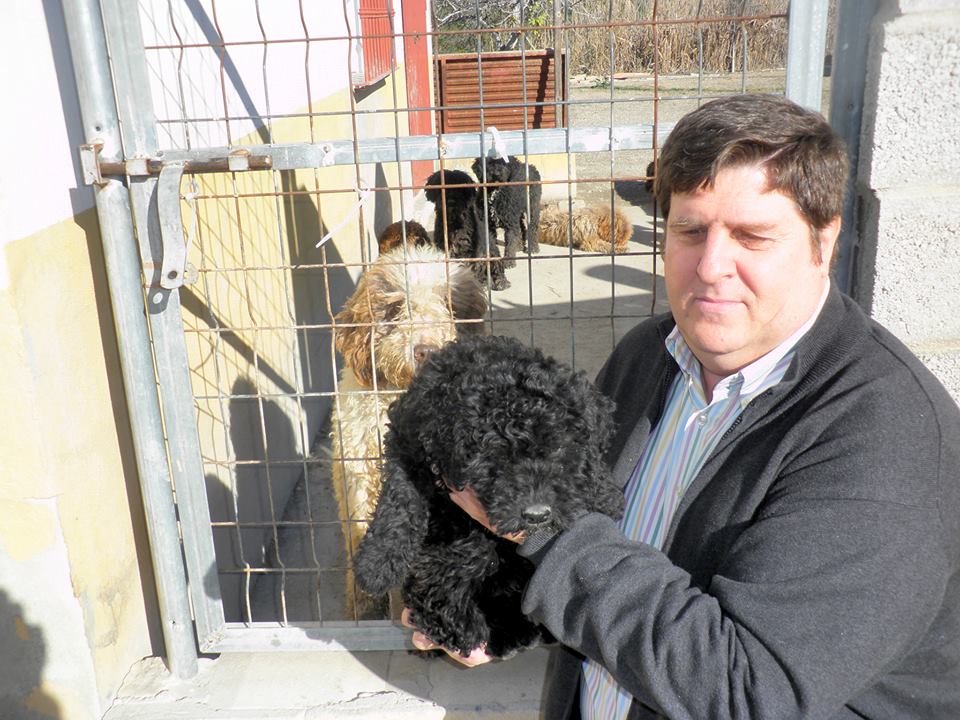 andresfloresbenamaina