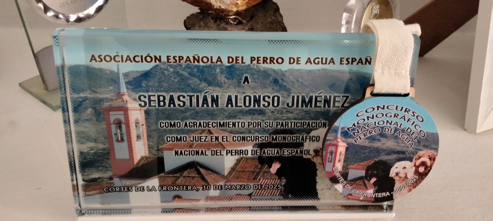 placa